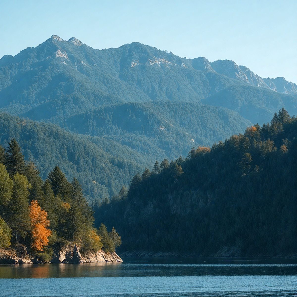 3737a893-c7dc-4a5d-a435-bed721d1248f-turkish-forests-island-936bfc_250319182622_Filename Text 2_04071_Filename Text 3_result.jpg